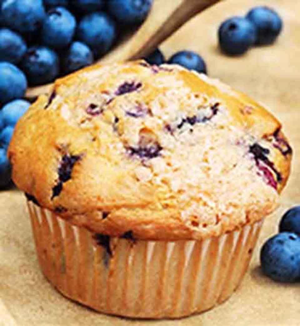 Blueberry Muffin