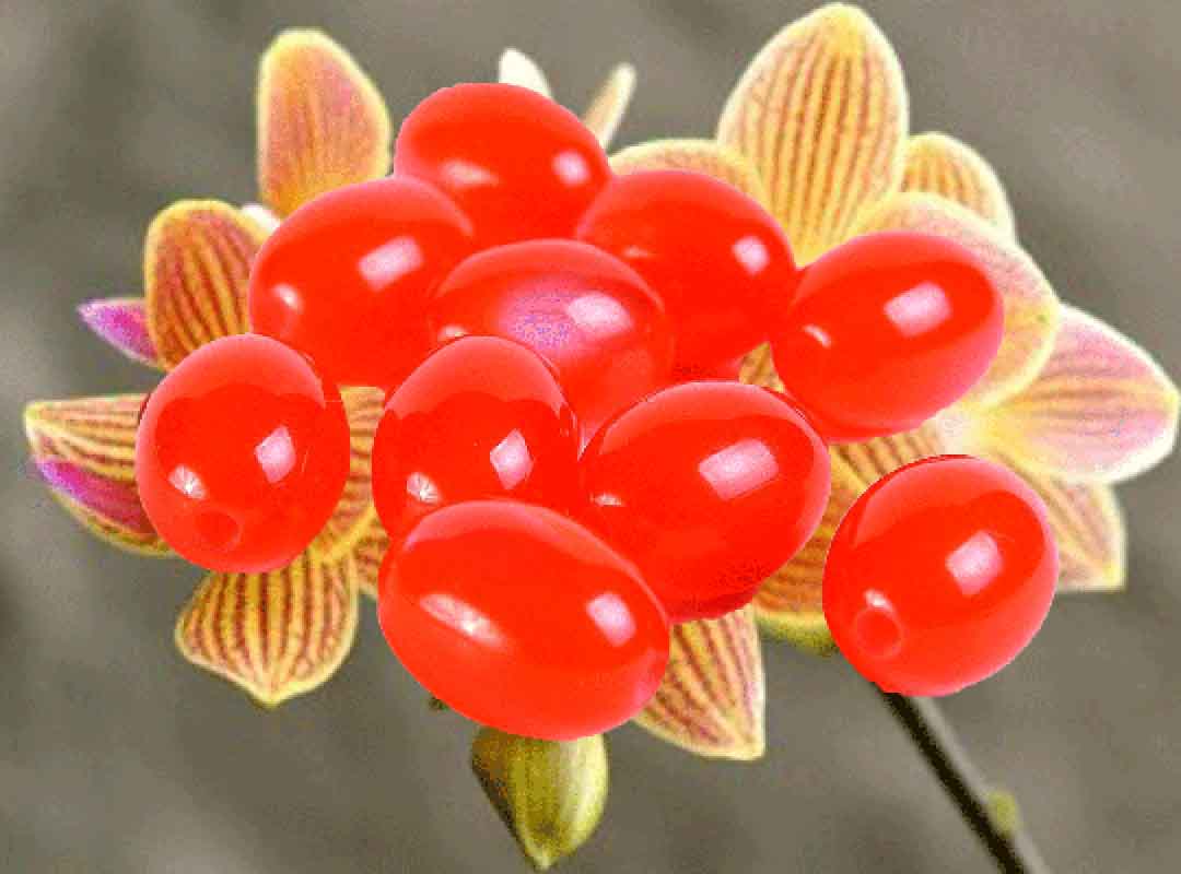 Orange Orchid Bath Beads