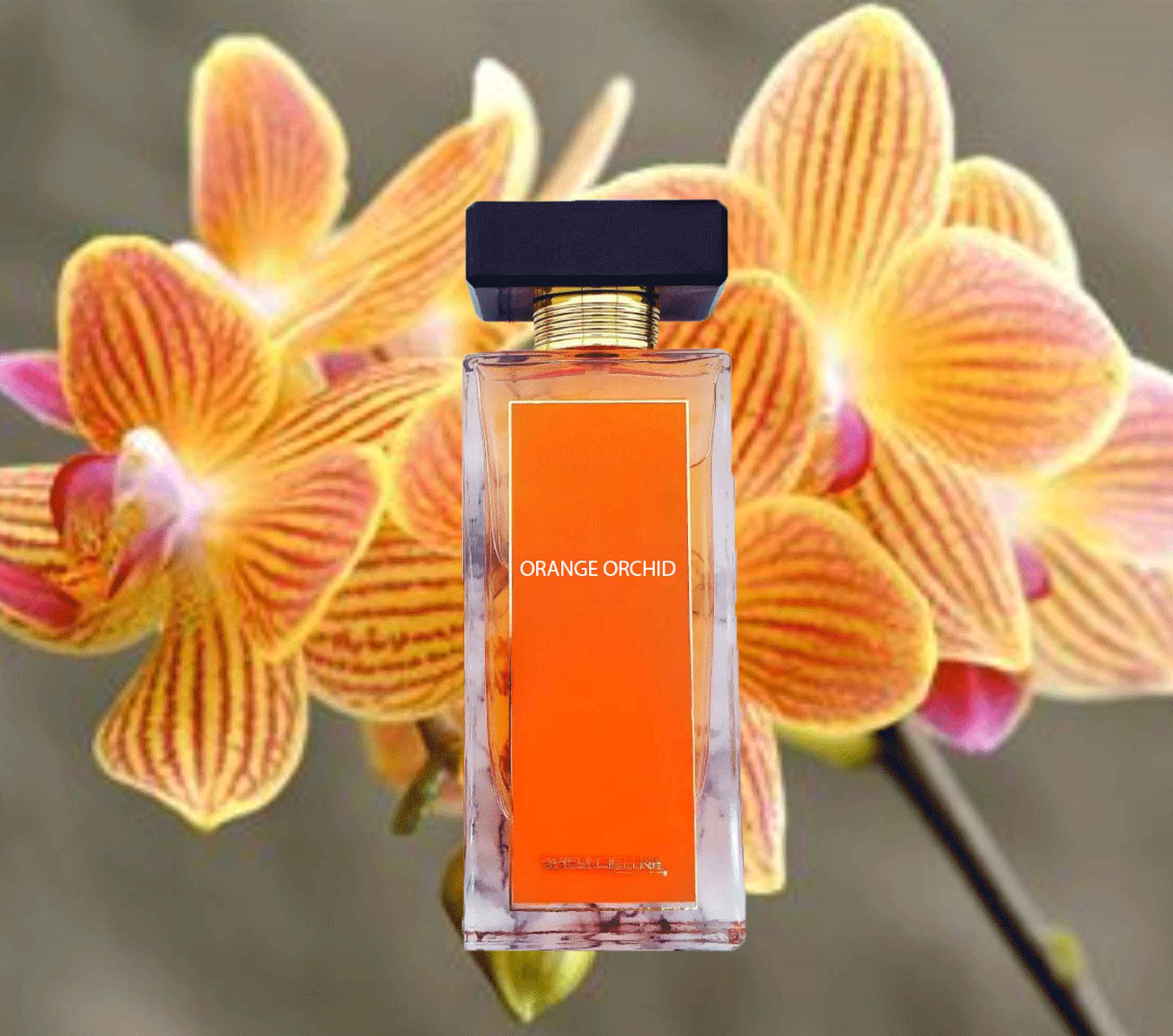 Orange Orchid Cologne