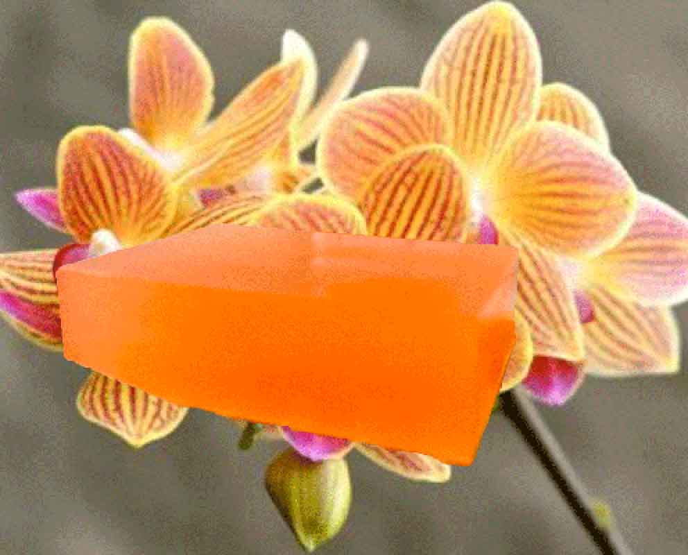 Orange Orchid Soap